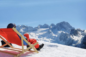 Dachstein Chalet